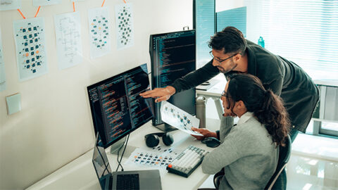 Agility Program Microsoft Microsoft Power Platform Consulting and Development